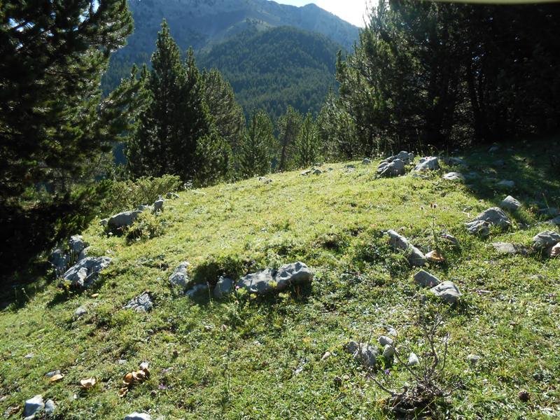 collata de labasar 7