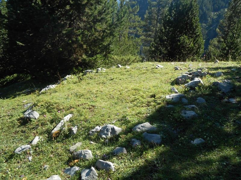 collata de labasar 7