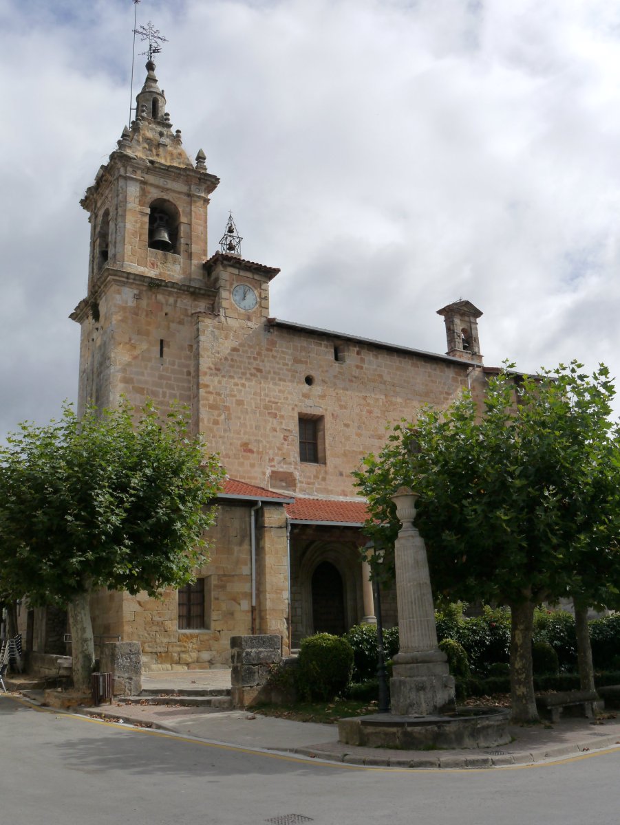 San Pedro eliza, Araia