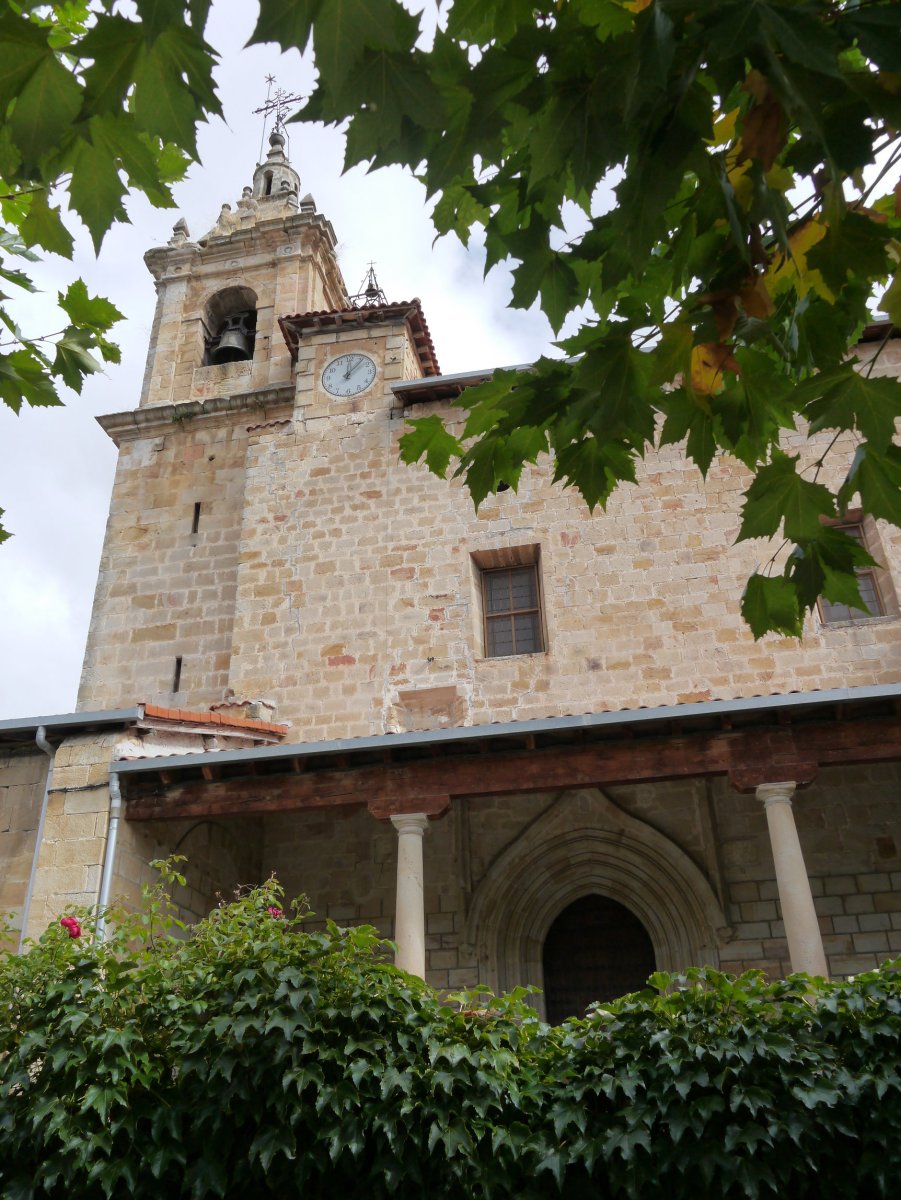 San Pedro eliza, Araia