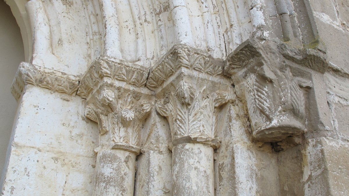 Santiago eliza, Olexoa