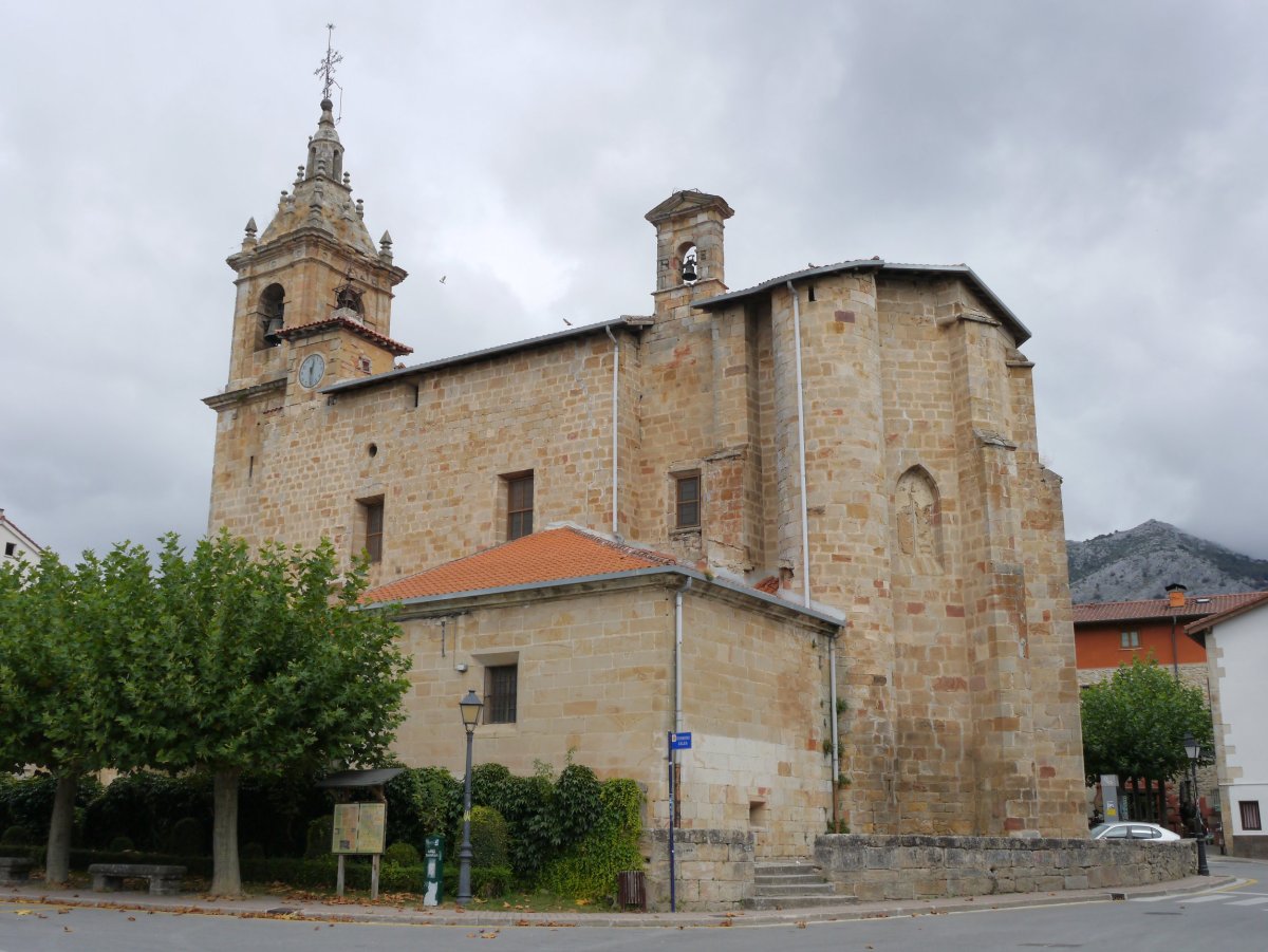 San Pedro eliza, Araia