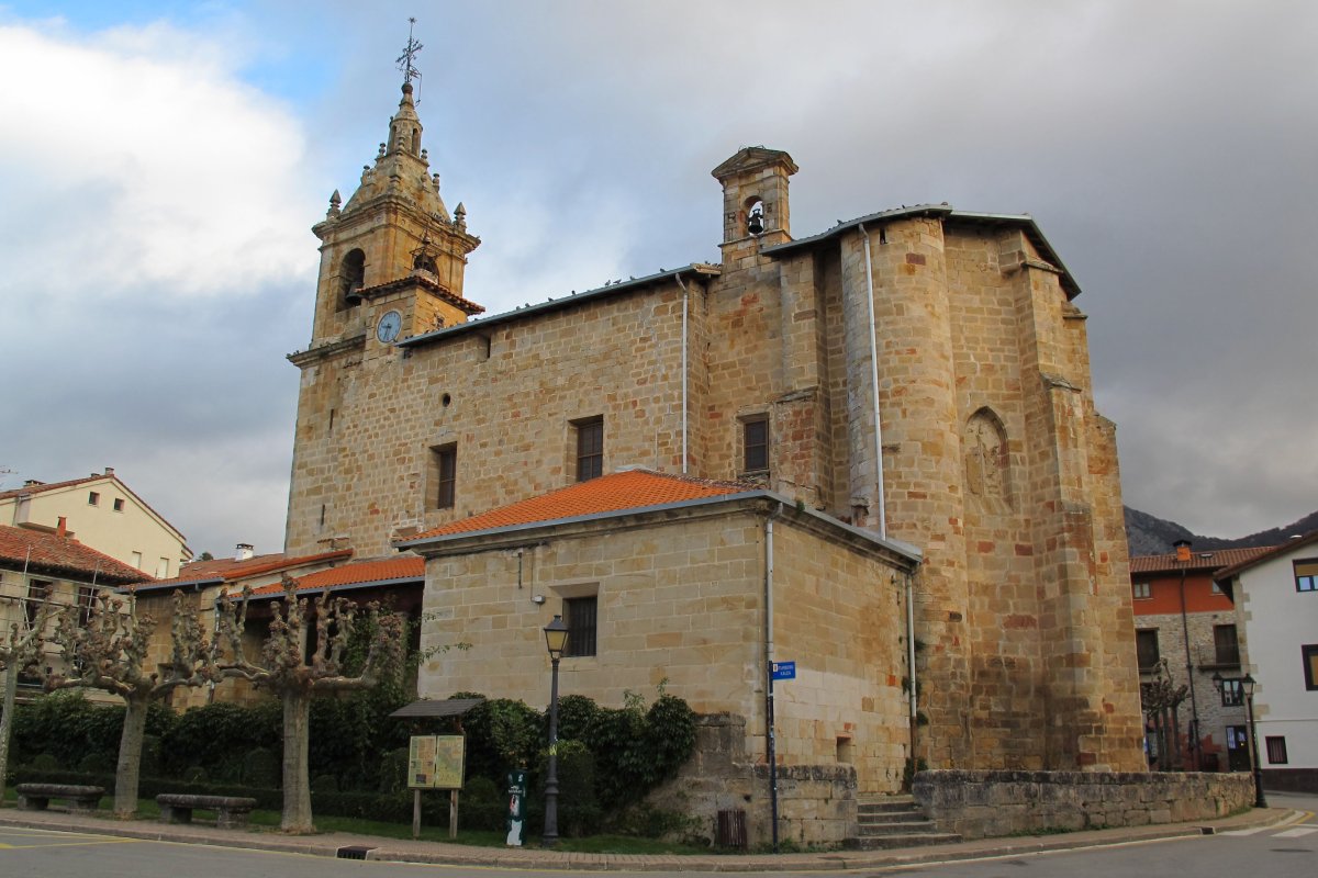 San Pedro eliza, Araia