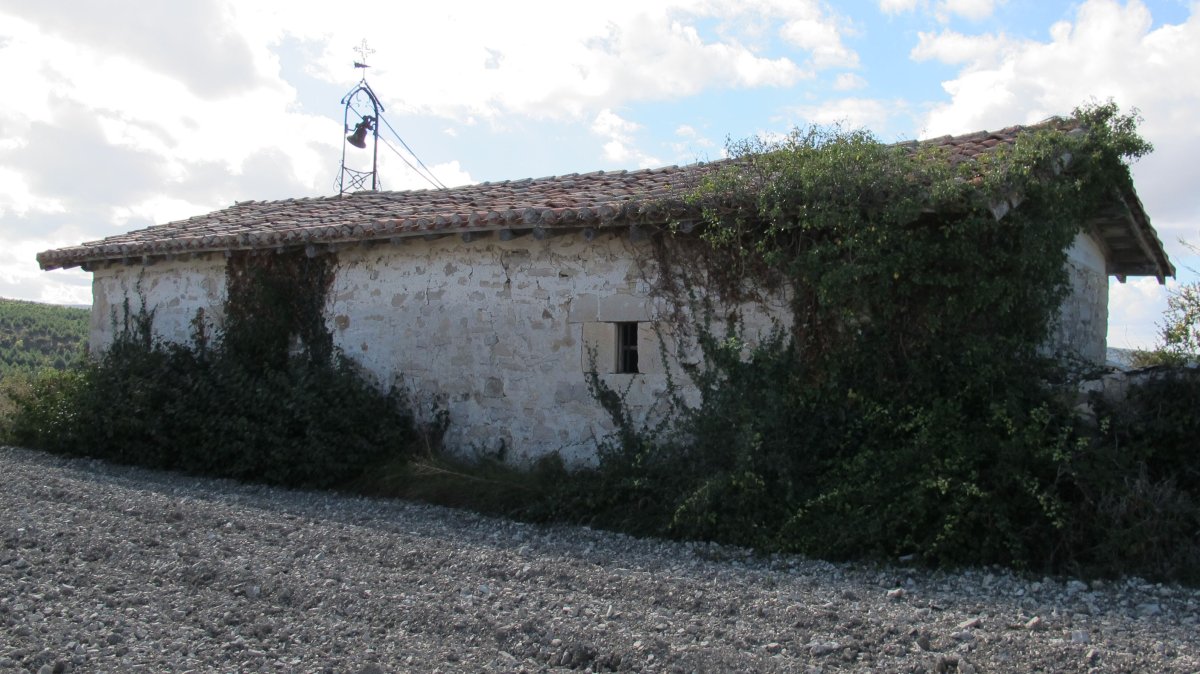 San Roke eta San Antonio ermita, Busto
