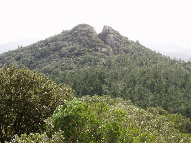 Atxurkulu Ogoñoko talaiatik ikusita