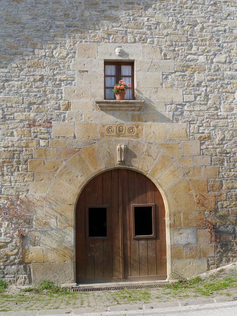 Iriartea etxea, Eraso