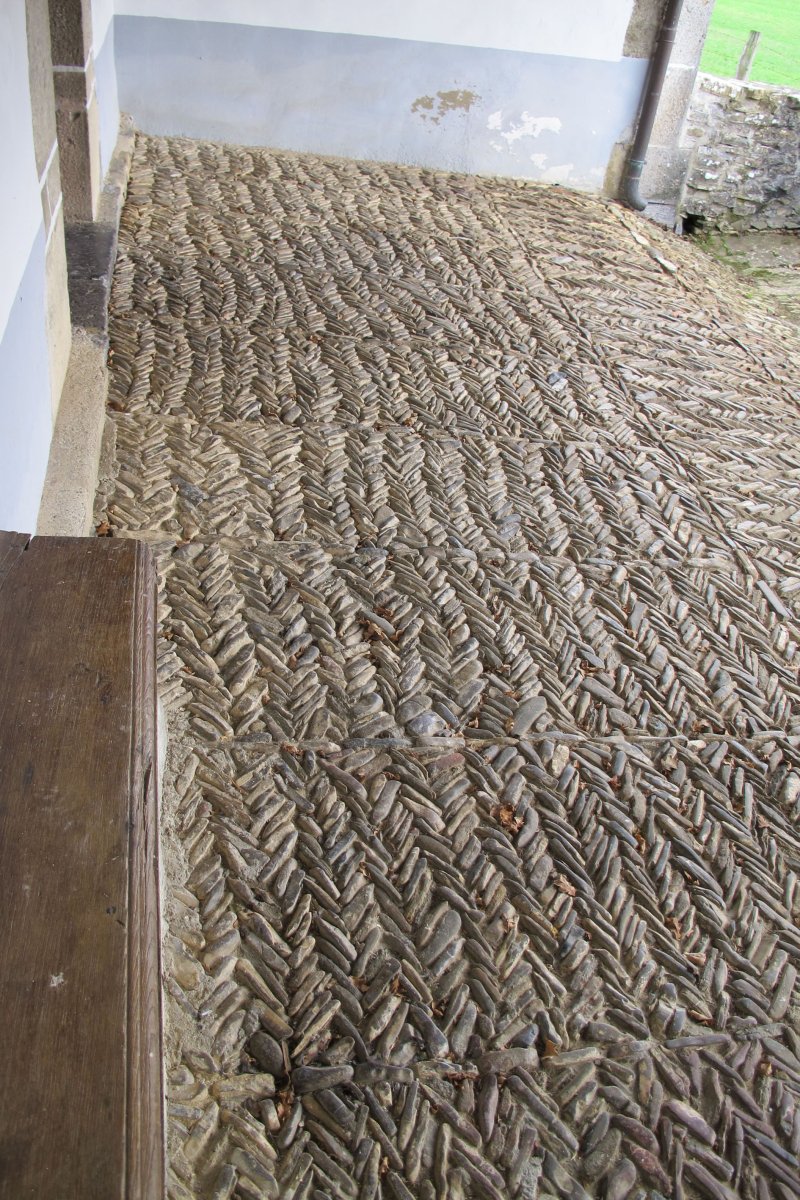 Asunción eliza, Jauntsarats