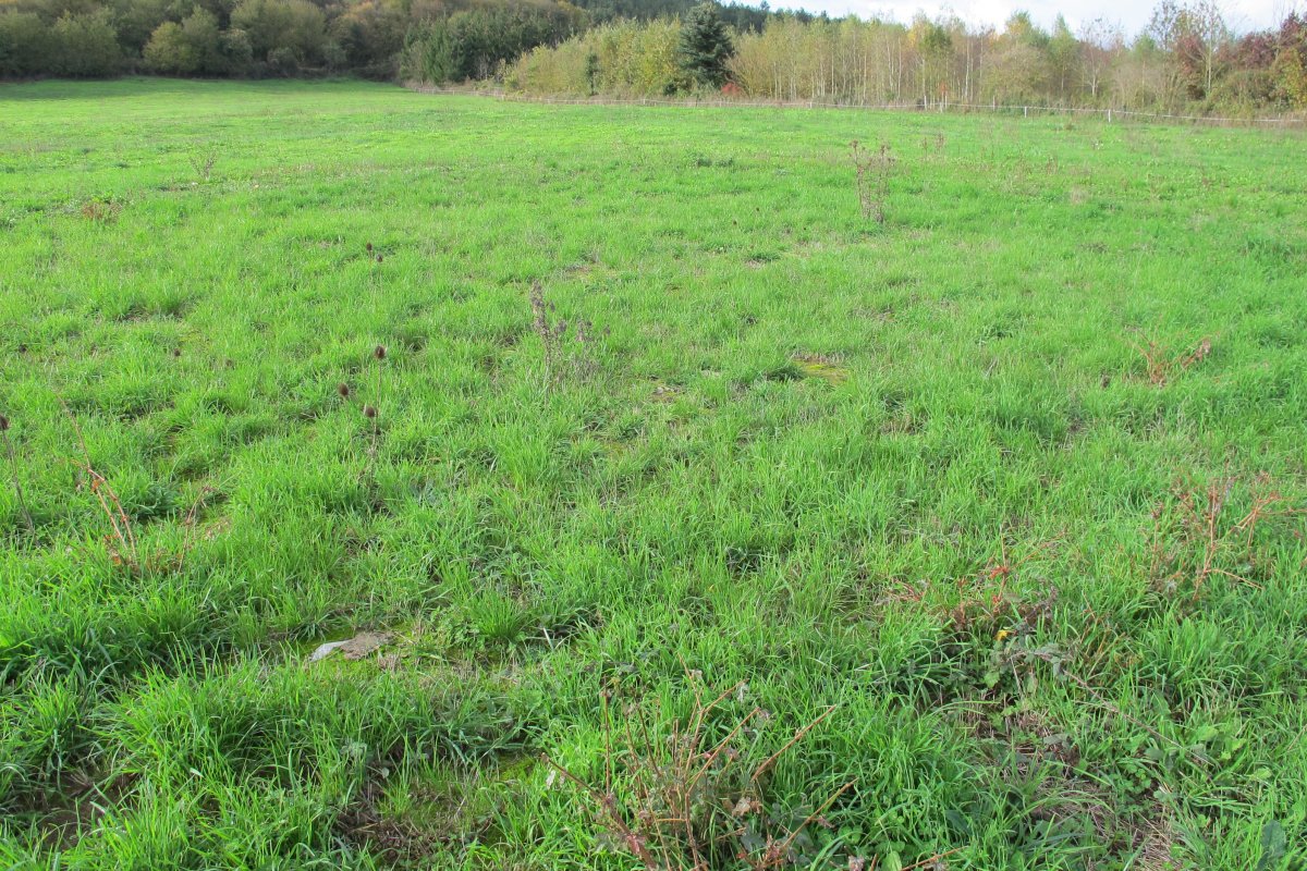 Gurutzeondo trikuharria egondako soroa, Udabe