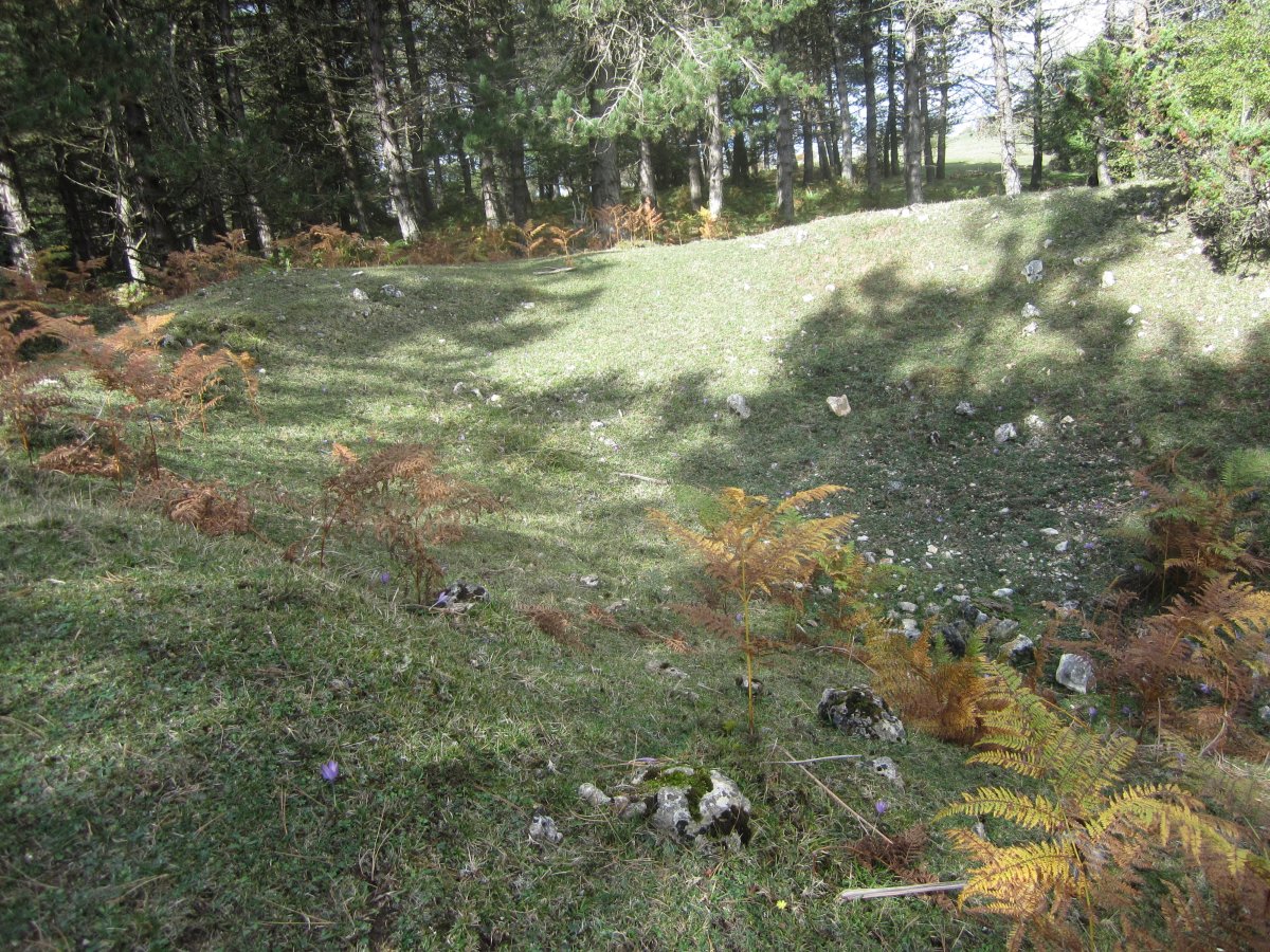 ¿Túmulo Lezana 1 ?        Octubre 2013