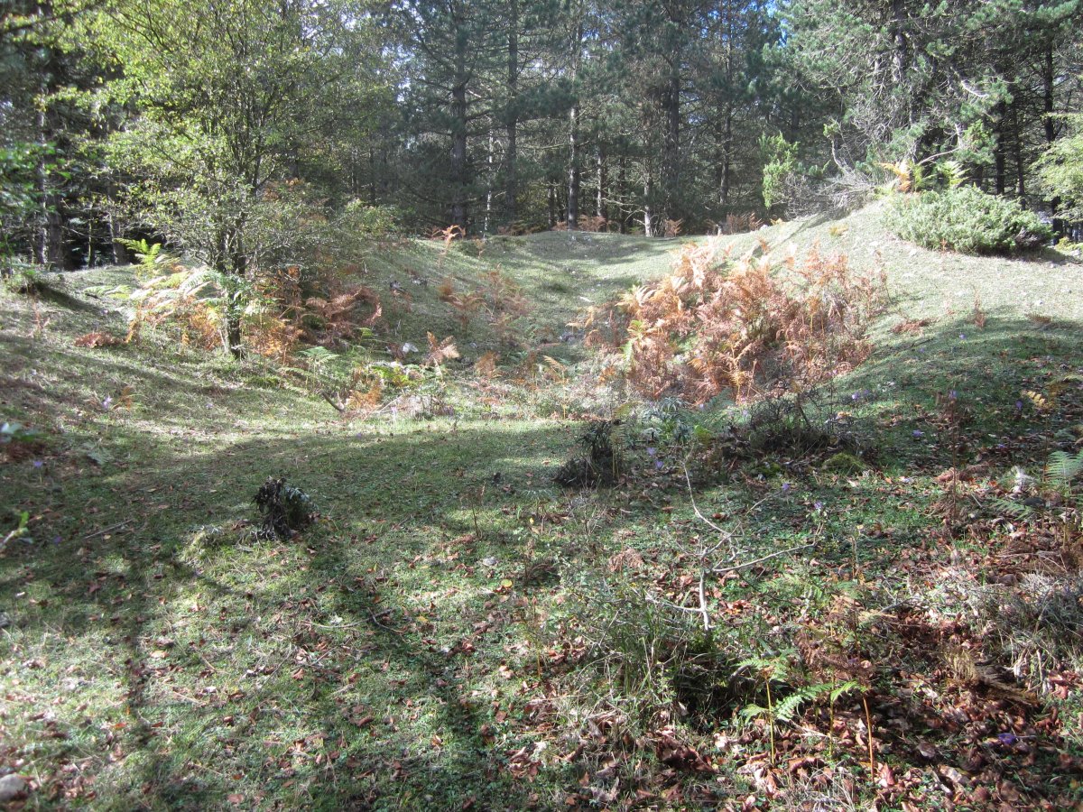 ¿Túmulo Lezana 1 ?        Octubre 2013