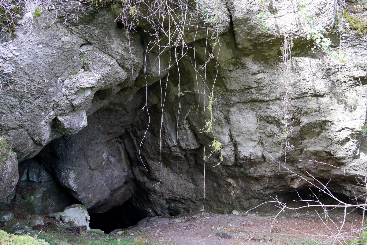 Artzainzulo leizea, Aralar.