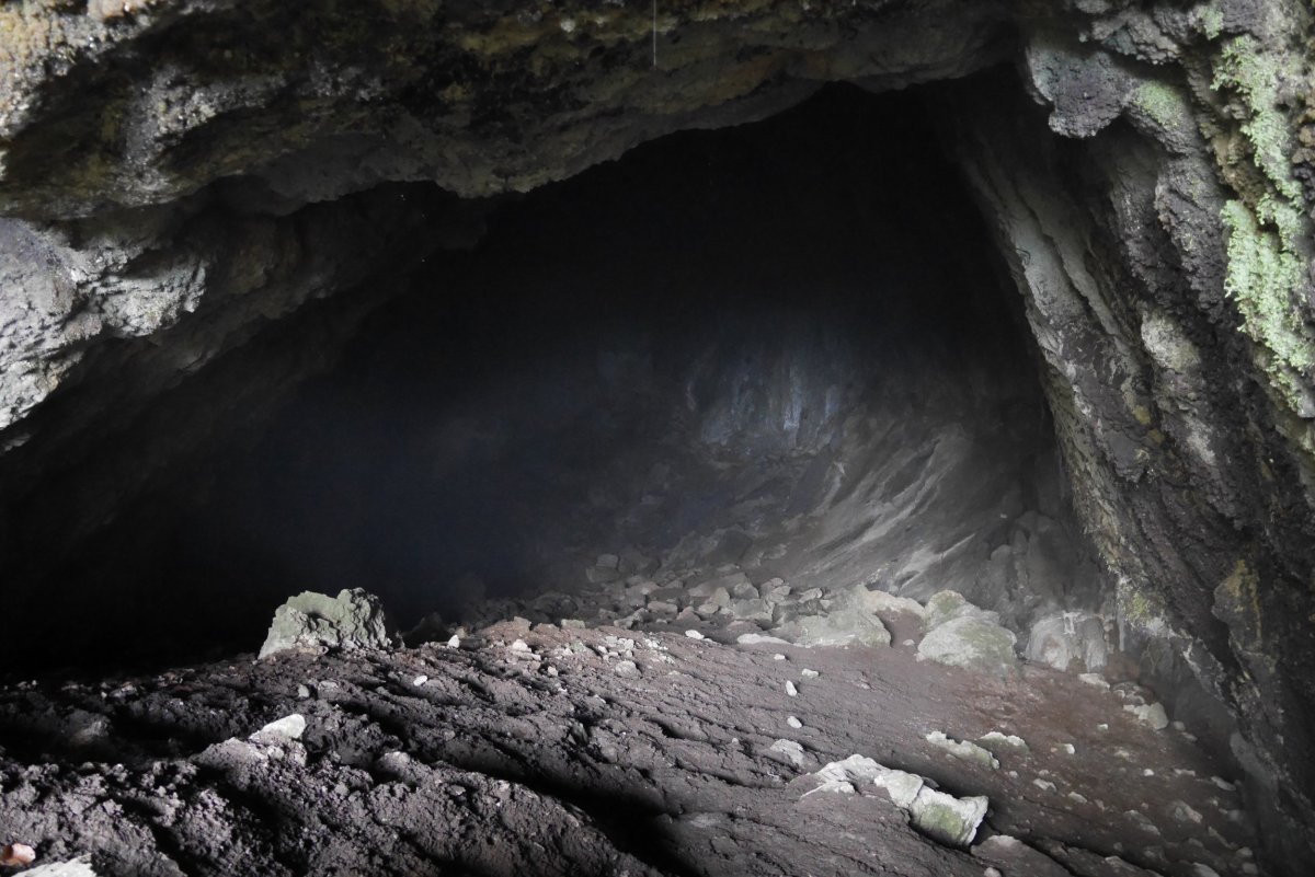 Artzainzulo leizea, Aralar.