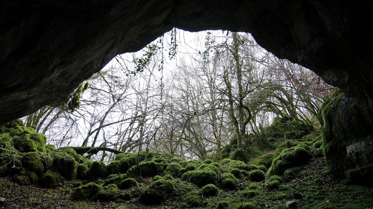 Artzainzulo leizea, Aralar.