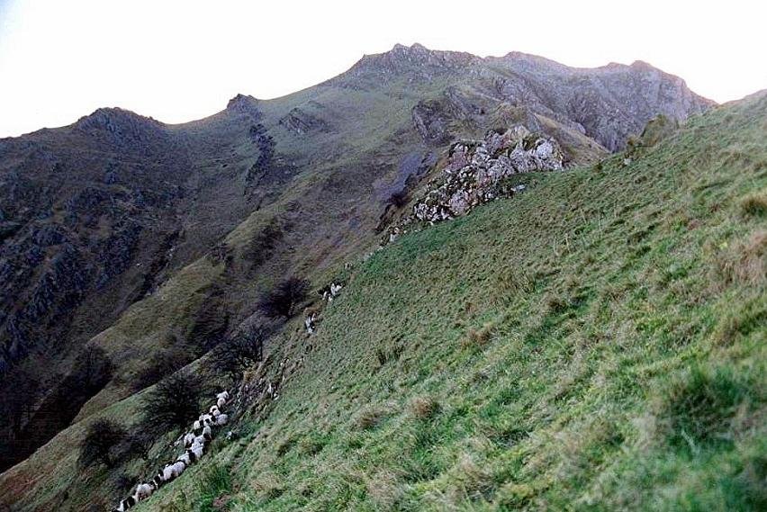 Iparraldeko isurialdea