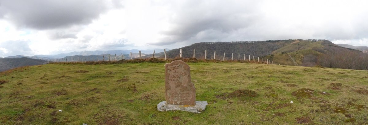 Almendruriz edo Armendarizko gailurra