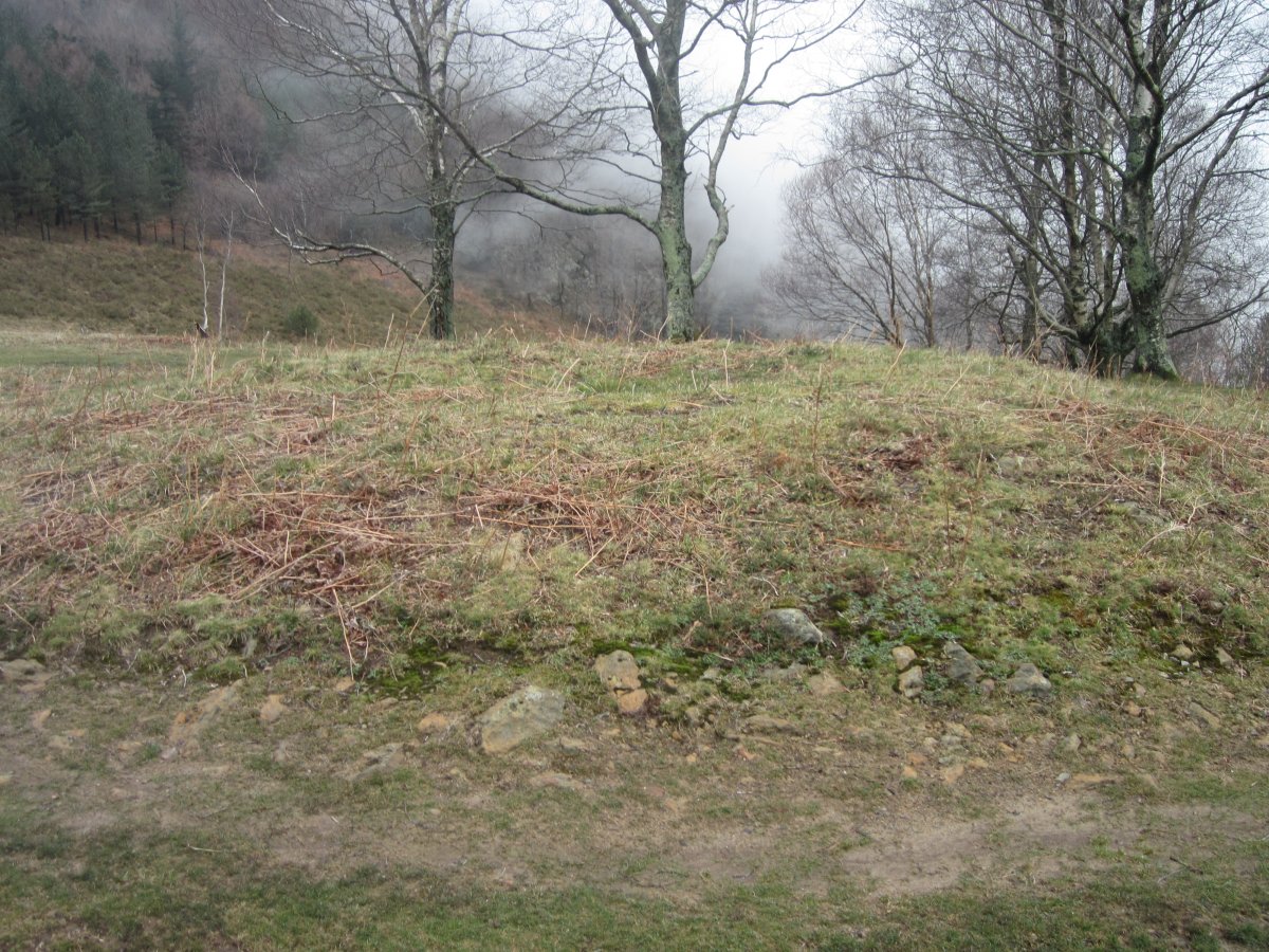 Túmulo Itxurain  (Marzo 2014)