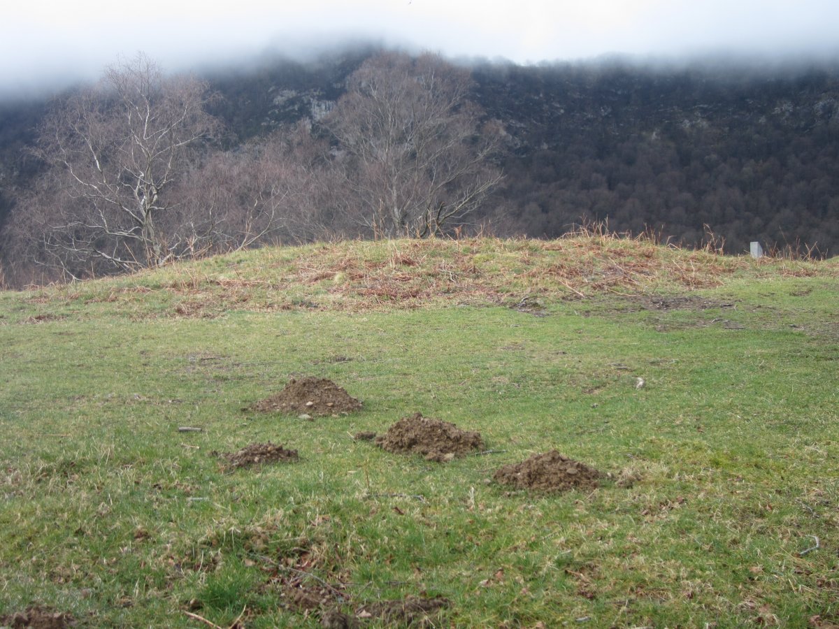 Túmulo Itxurain  (Marzo 2014)