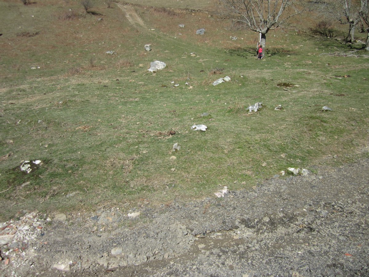 Cromlech Añoenea ( Marzo 2014)