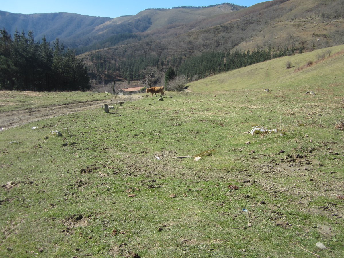 Cromlech Añoenea ( Marzo 2014)