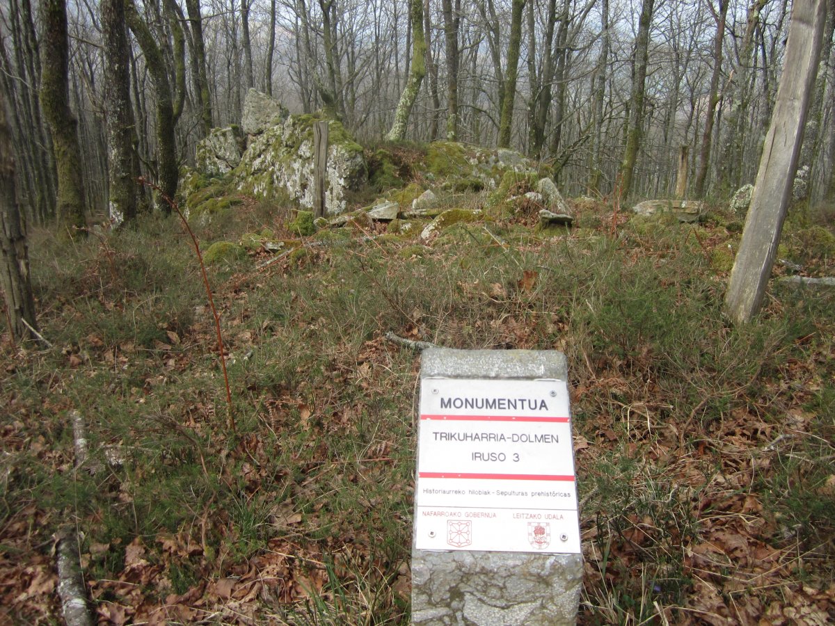 Dólmen Iruso 3  (Marzo 2014)