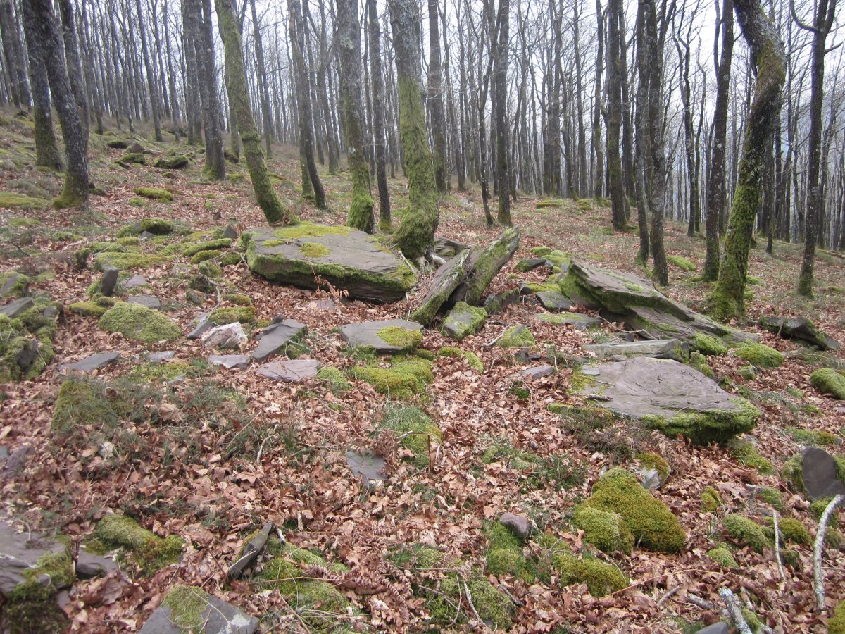 Dólmen Txara (Marzo 2014)