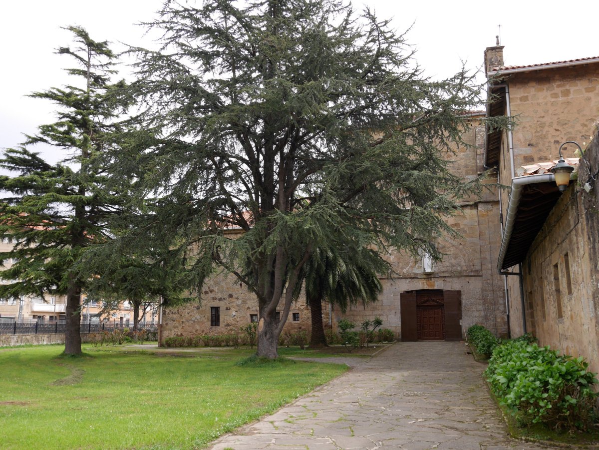 Frantziskotarren komentua, Zarautz