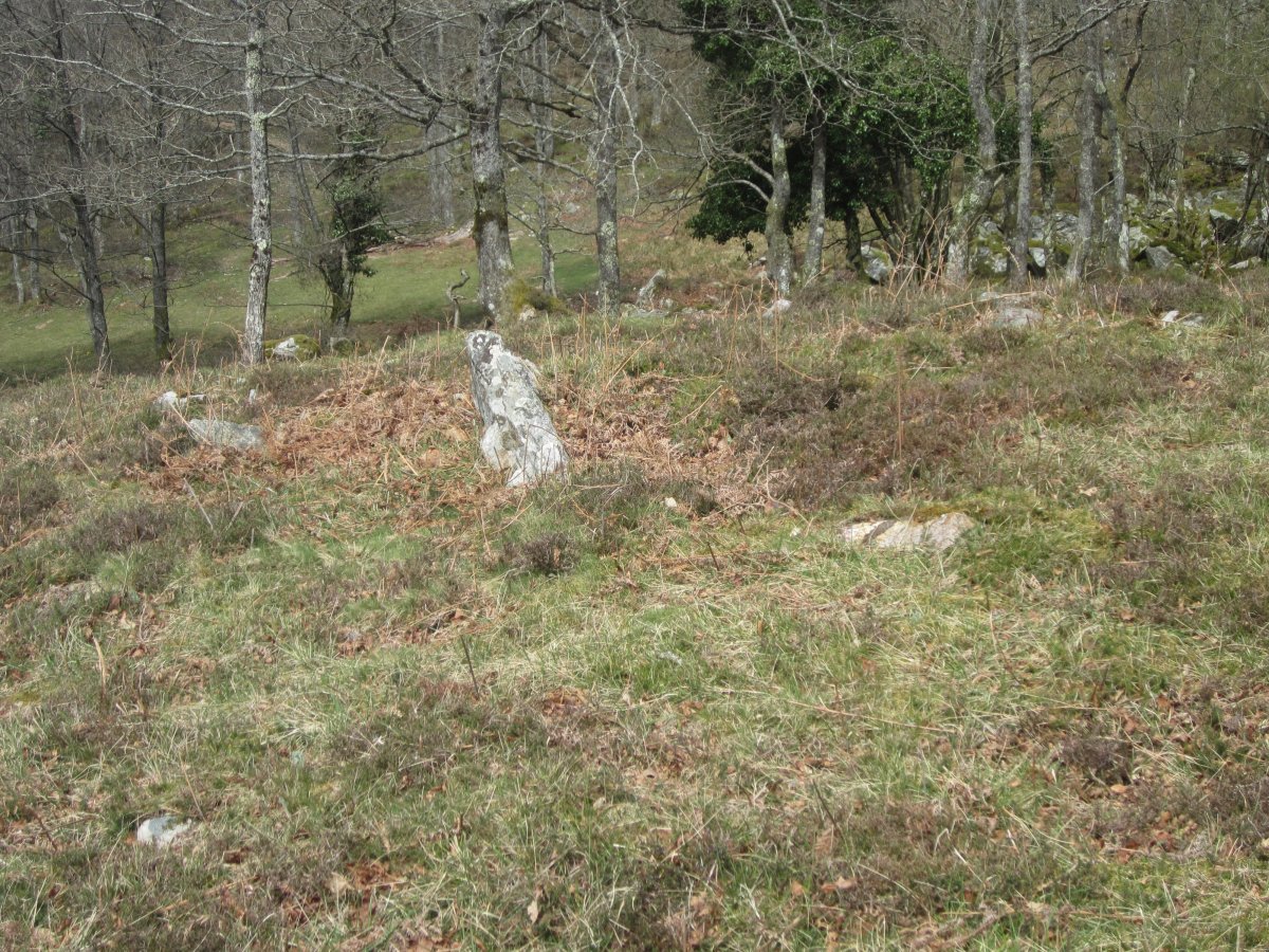 Dólmen Jentillen Arrobie  (Marzo 2014)