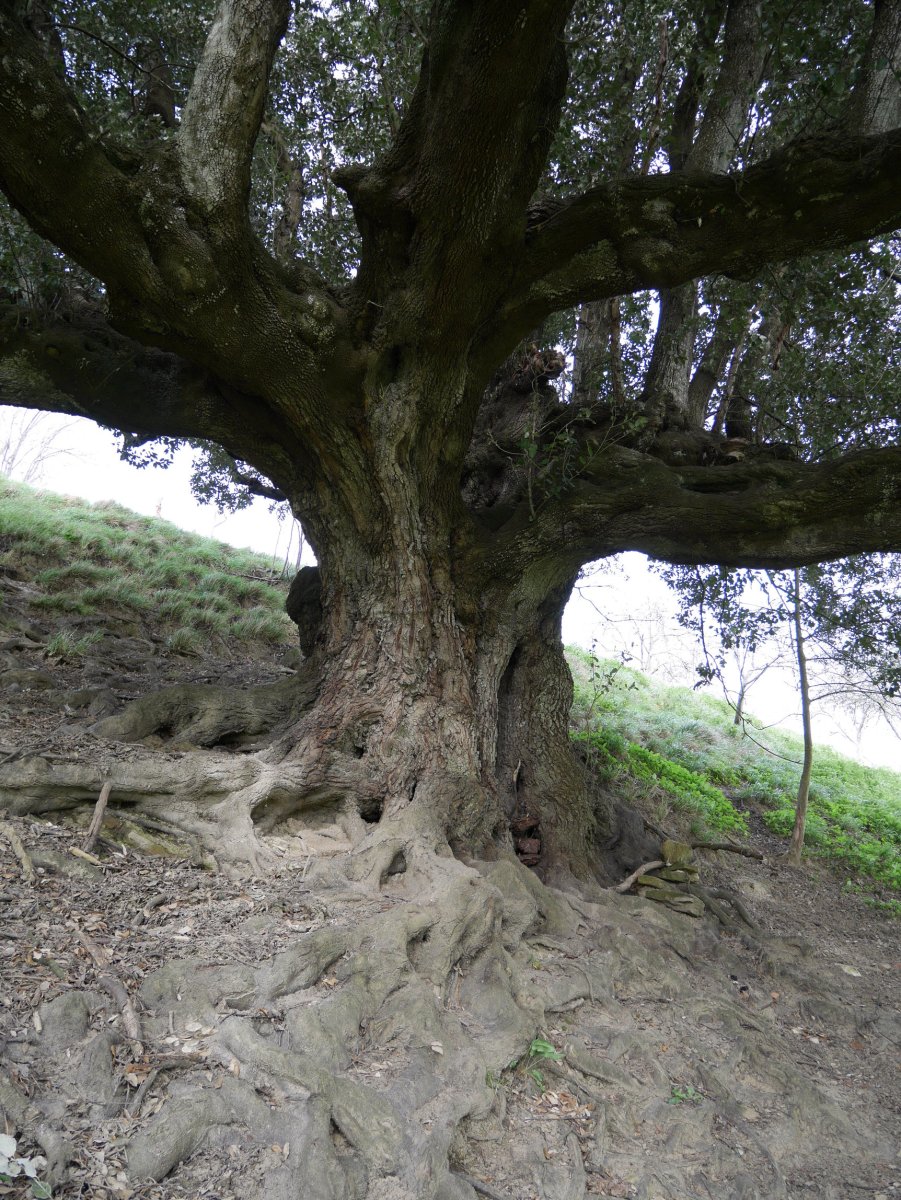 Aizarnazabalgo artea