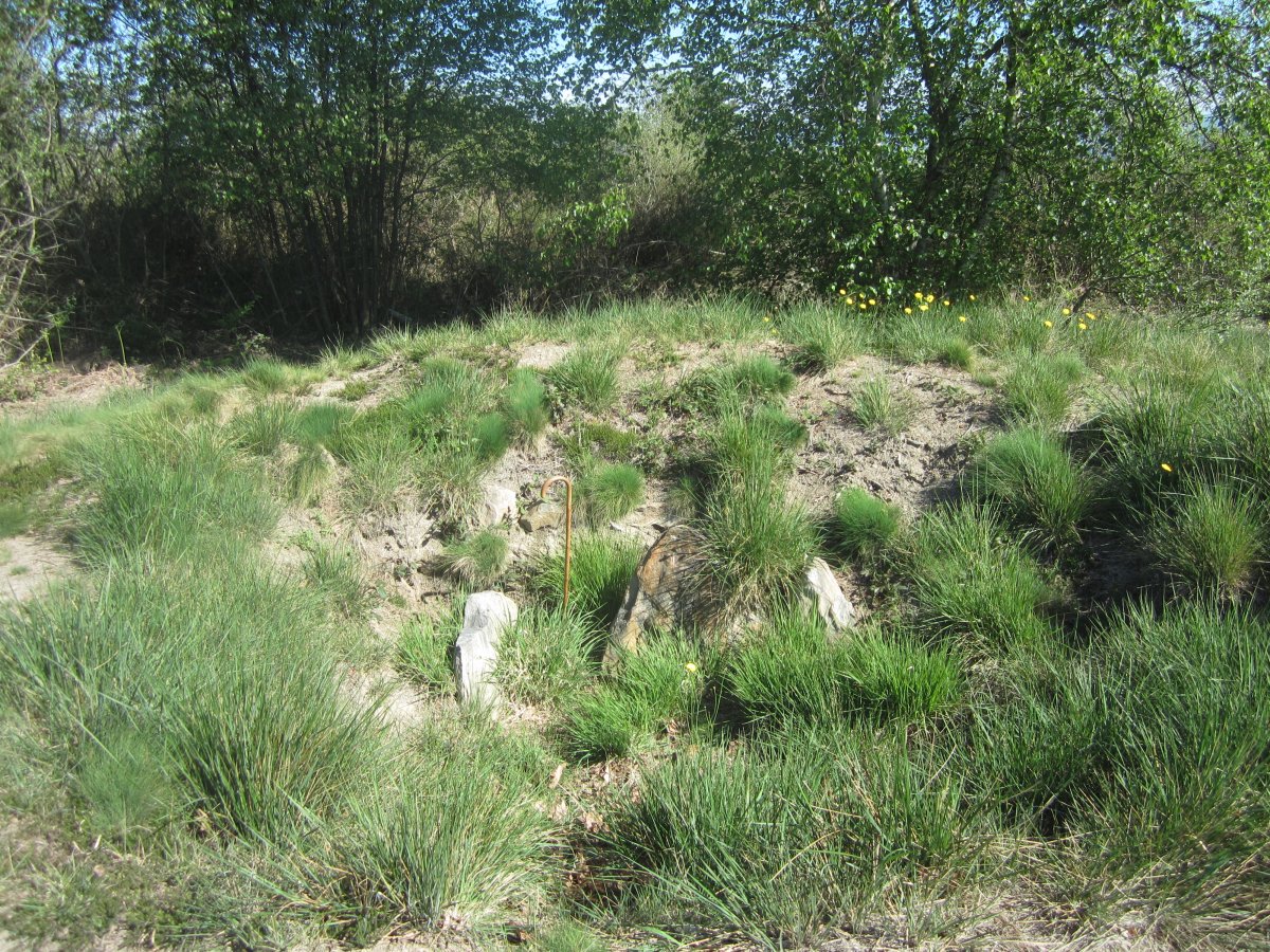 Túmulo Gazteluko Landa (Abril 2014)