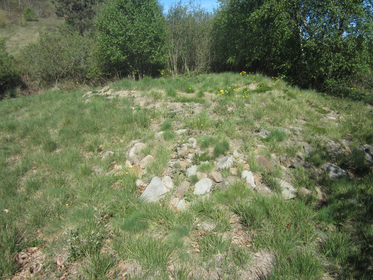 Túmulo Gazteluko Landa   (Abril 2014)