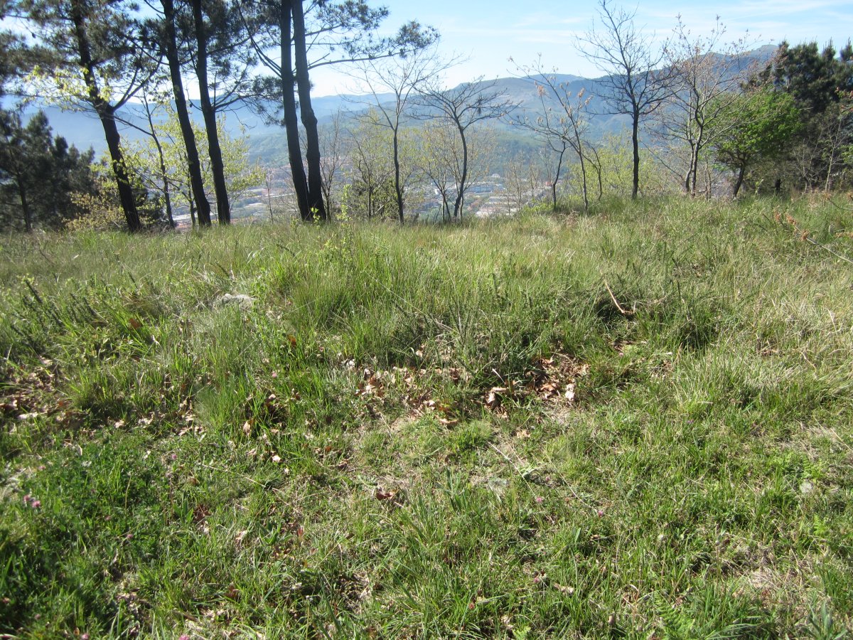 Túmulo Hirumugarrieta 2 (Abril 2014)