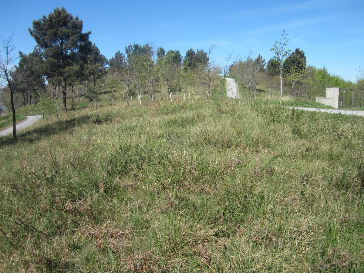 Túmulo Hirumugarrieta 2  (Abril 2014)