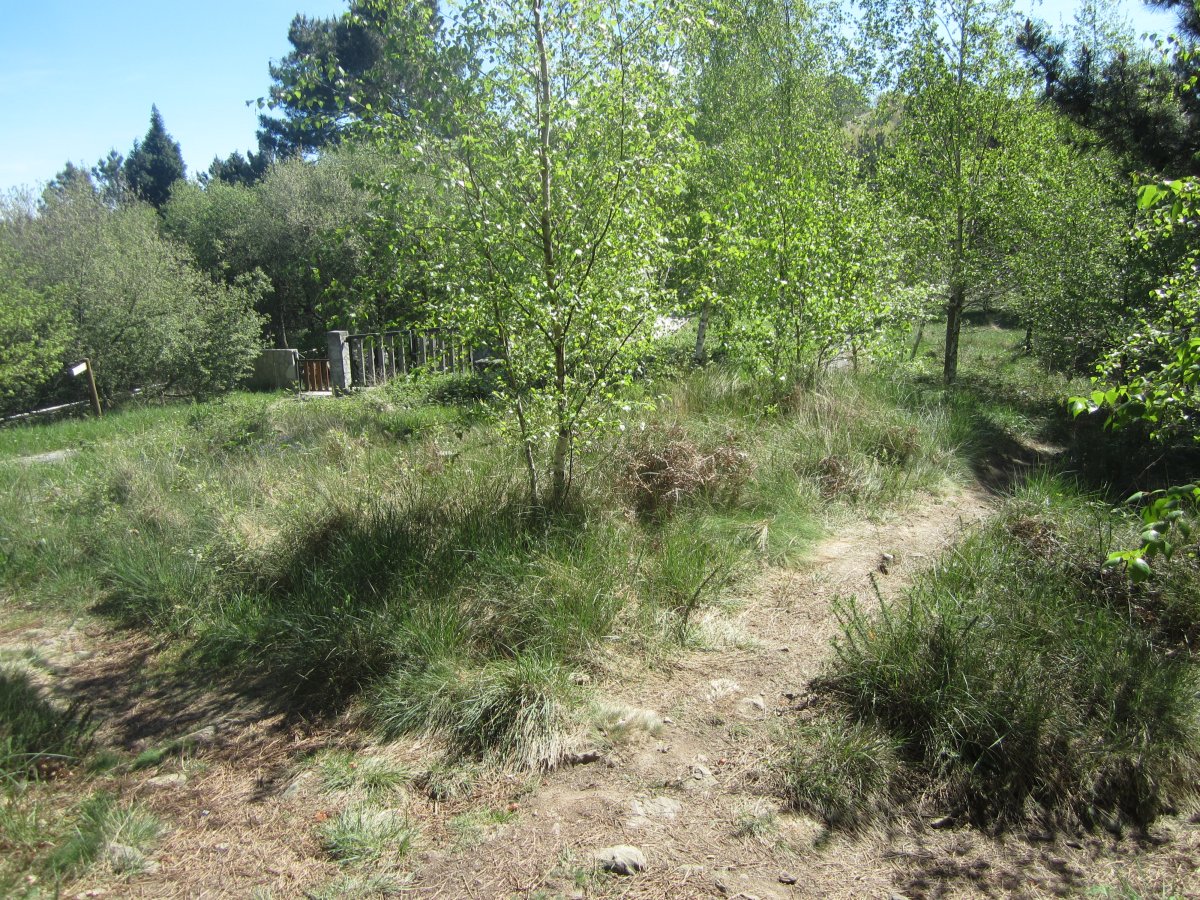 Túmulo Hirumugarrieta 3  (Abril 2014)