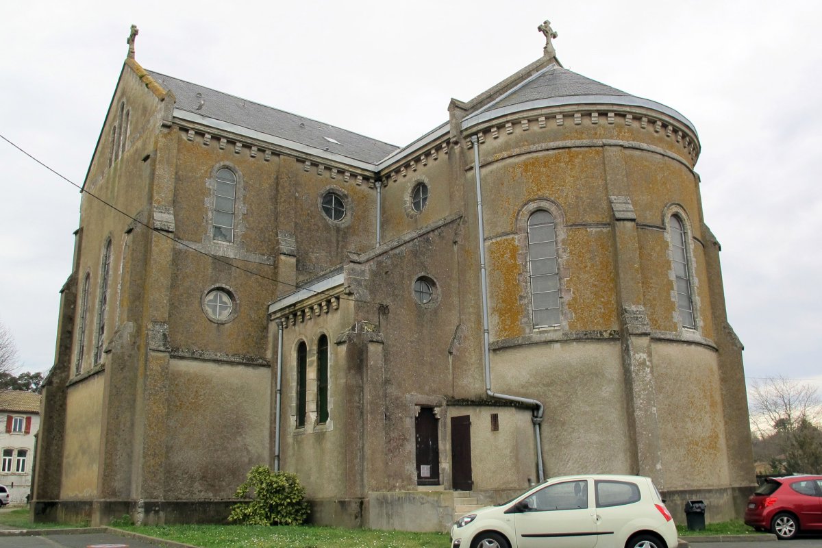 Notre Dame eliza, Bokale