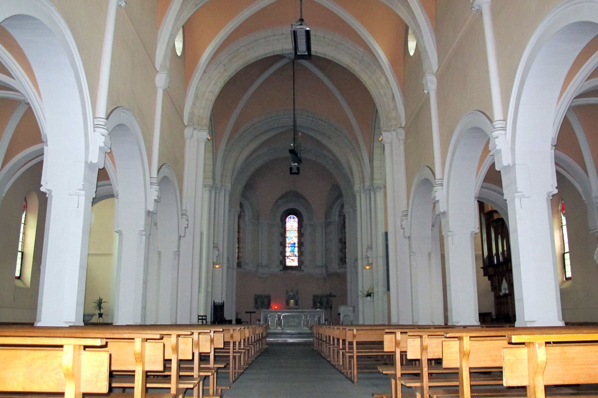 Notre Dame eliza, Bokale