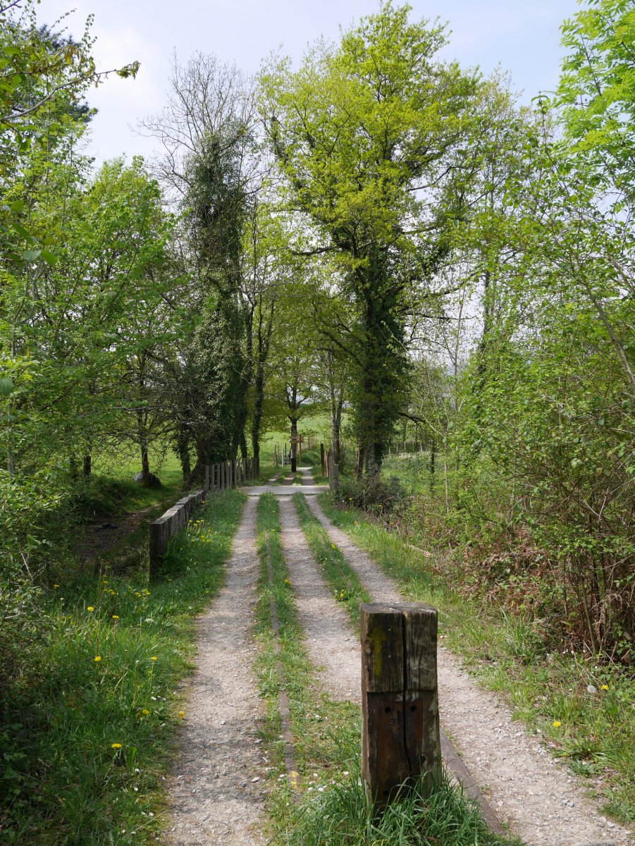 Mutiloako Meatze Trenbidea