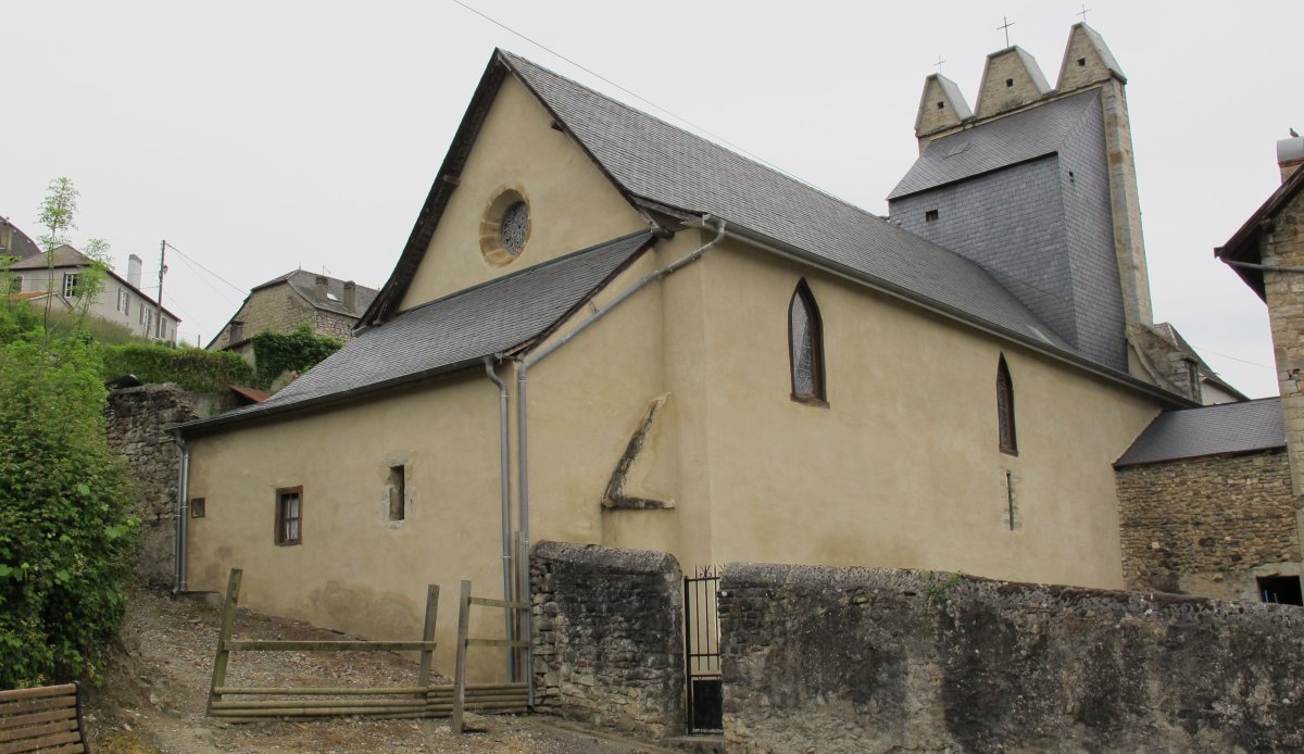 Notre Dame eliza, Maule