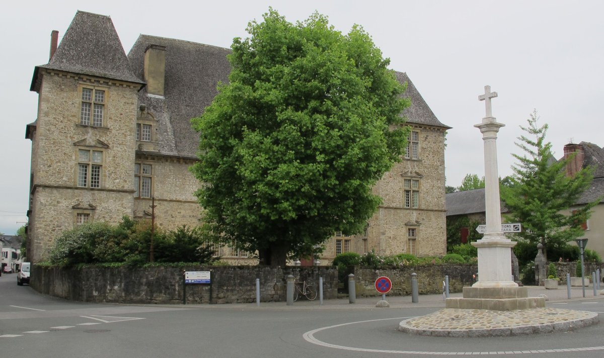 Andurain jauregia, Maule