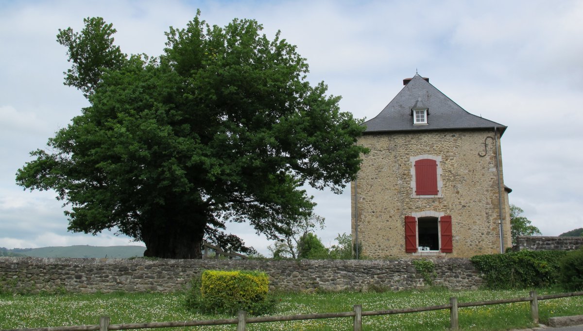 Gotaine Jauregia, Gotaine