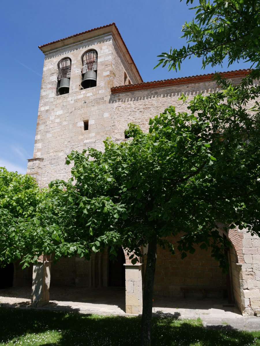 Santo Tomas eliza, Ollo