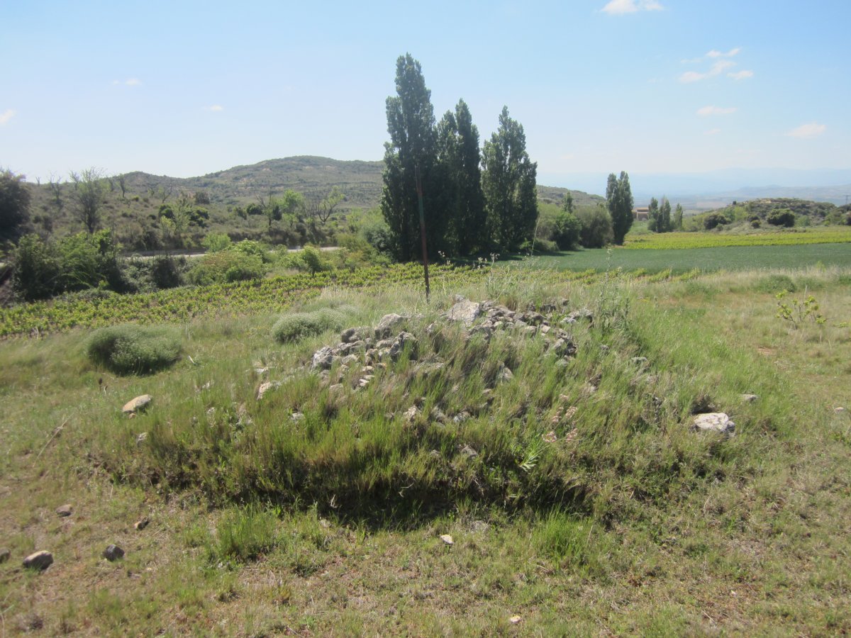 Dólmen La Cascaja (Mayo 2014)