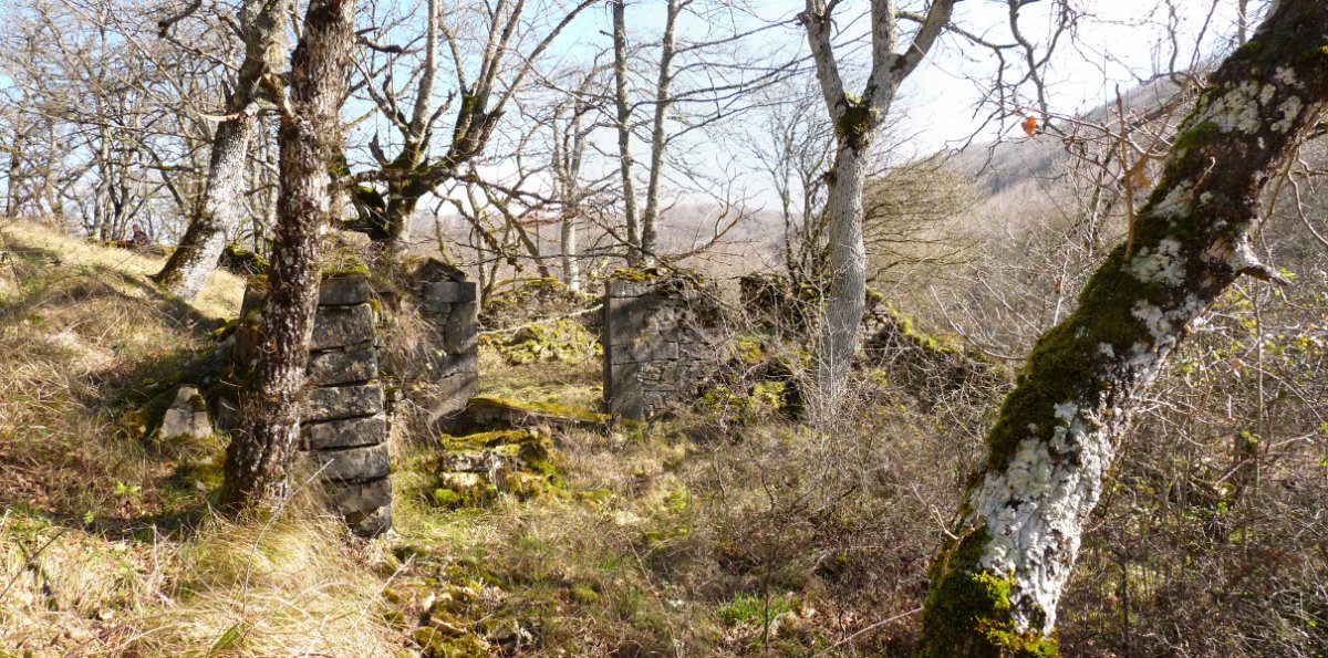 Matxikeneko bordaren hondakinak