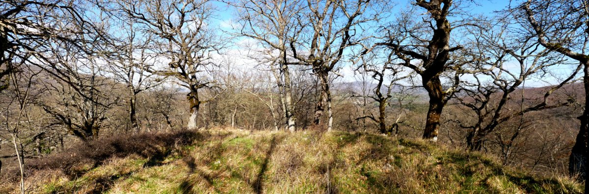 Belarbeltz gaineko gailurra (663m)