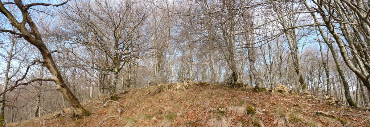 Otsopasajeko gailurra