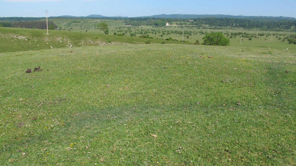 Raso Urbasa 1 etxola hondoa, Urbasa