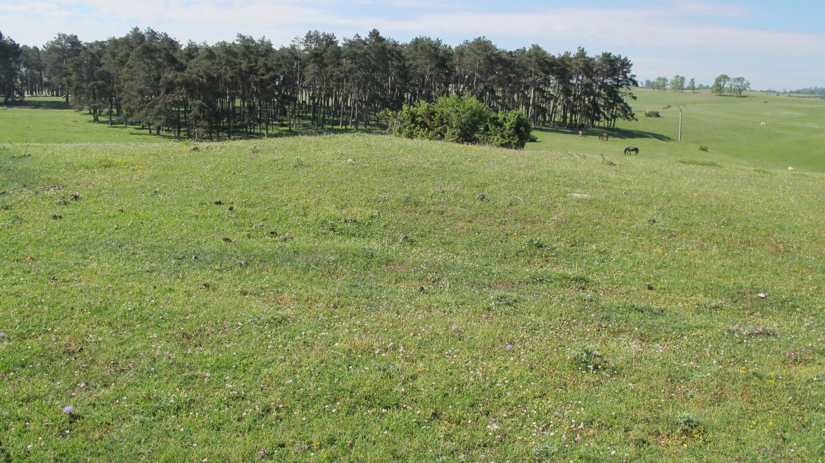 Raso Urbasa 1 etxola hondoa, Urbasa