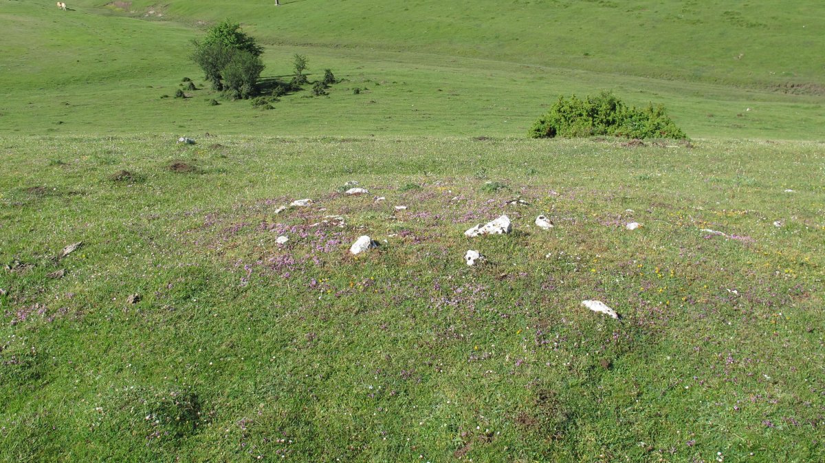 Raso Urbasa 1 tumulua, Urbasa