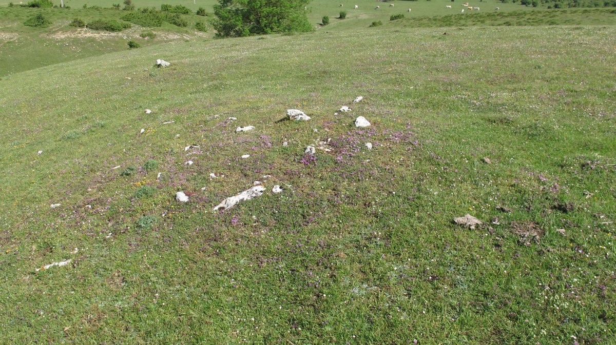 Raso Urbasa 1 tumulua, Urbasa