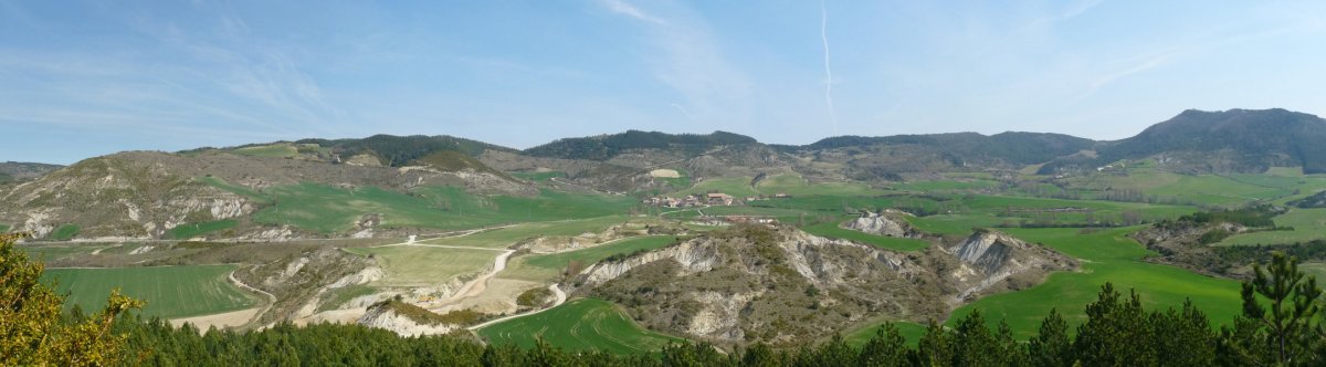 Arangurengo mendiak Zarbaetatik