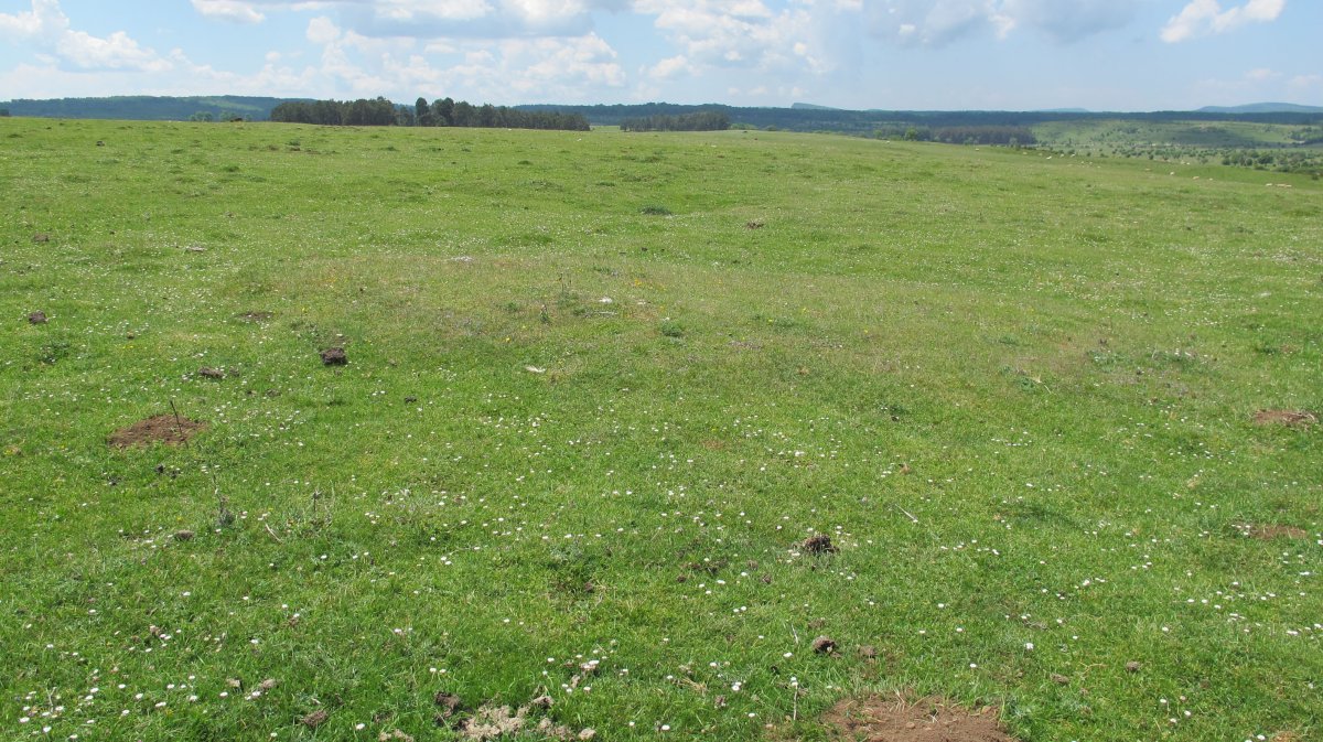 Raso Urbasa 3 etxola hondoa, Urbasa